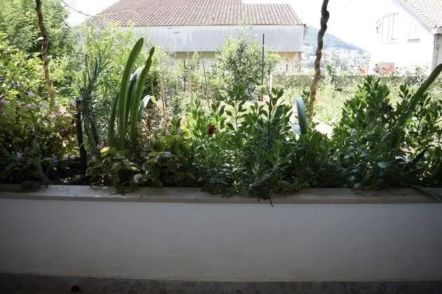 Basic Oda, Bahçe Manzaralı