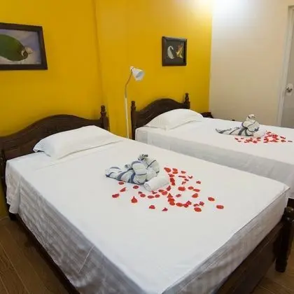 Superior Tek Büyük veya İki Ayrı Yataklı Oda