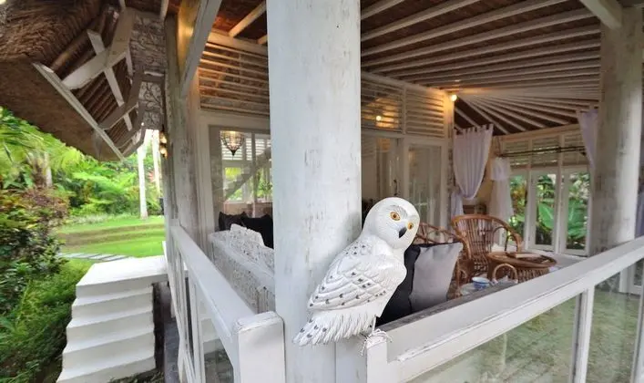 Villa, 1 Yatak Odası, Kişiye Özel Havuzlu