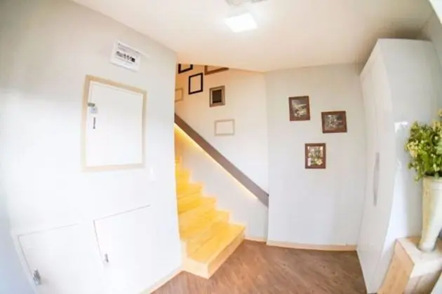 Oda (Violin (Duplex))