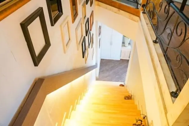 Oda (Violin (Duplex))