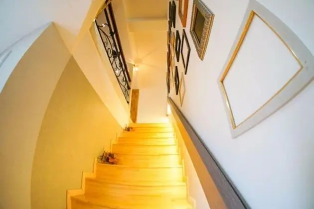 Oda (Violin (Duplex))