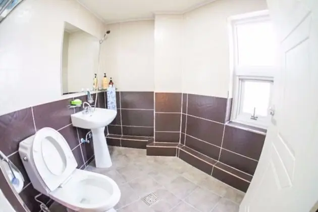 Oda (Violin (Duplex))