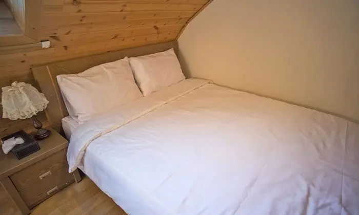 Dubleks (19 PY, Pet-friendly)