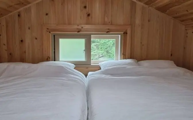 Oda (Pine breeze (Duplex))