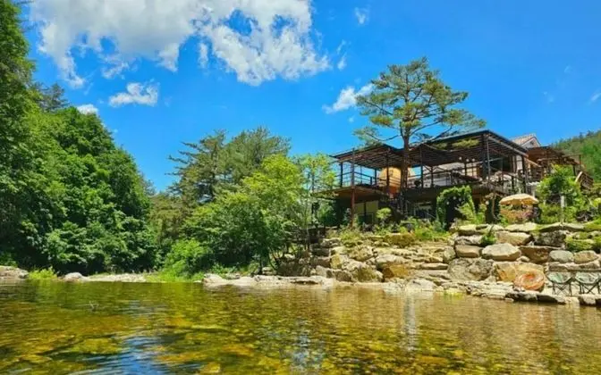 Oda (Pine breeze (Duplex))