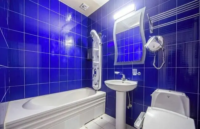 Tek Büyük Yataklı Oda (Extra futon set charge 10,000 on site)