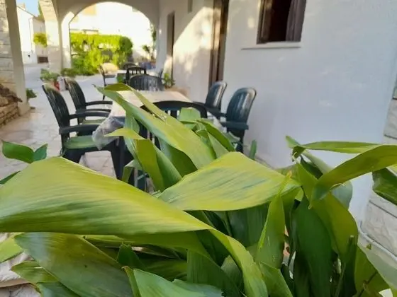 Apart Daire (Jere - 50m from the sea with parking )