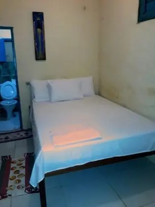 Árvore da preguiça