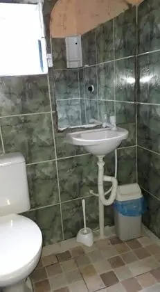 Árvore da preguiça