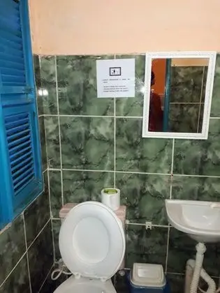 Árvore da preguiça