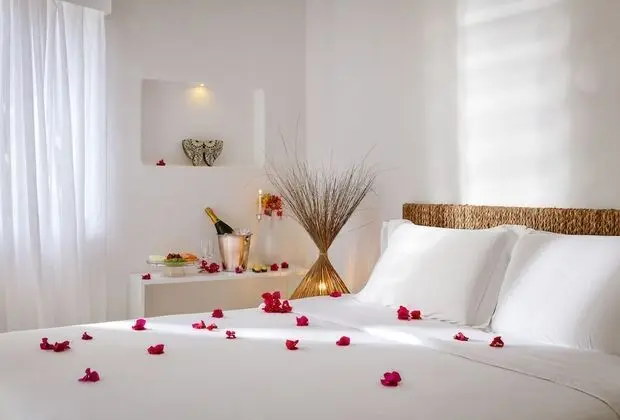 Standard Tek Büyük Yataklı Oda (Beija-Flor)