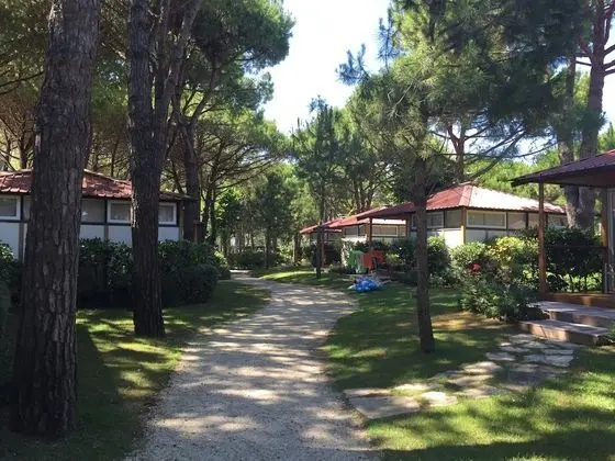 Chalet Comfort (Comfort Chalet, 2 Bedrooms)