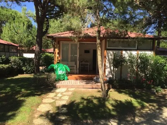 Chalet Comfort (Comfort Chalet, 2 Bedrooms)