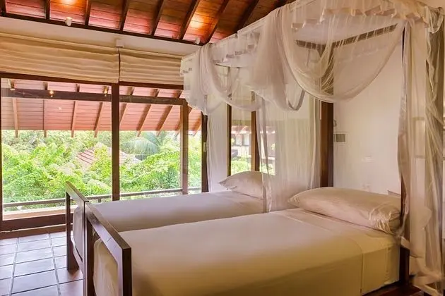 Standard Room with Treatments