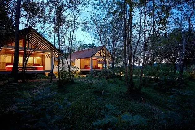 Wel Vidana - Forest View