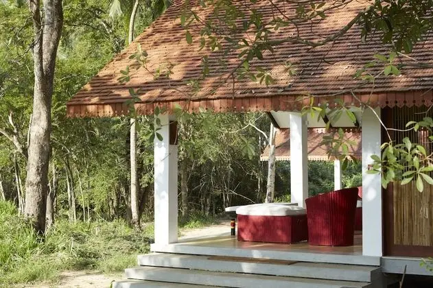 Wel Vidana - Forest View