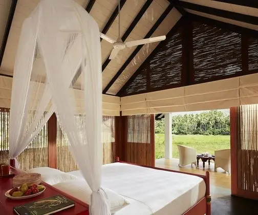 Wel Vidana - Paddy Field View