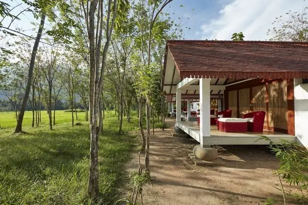 Wel Vidana - Paddy Field View