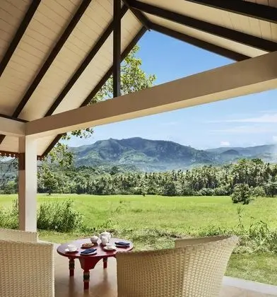 Wel Vidana - Paddy Field View