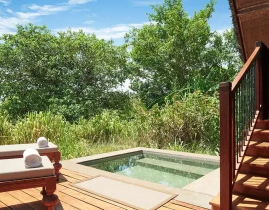 Paddy Dwelling with Pool