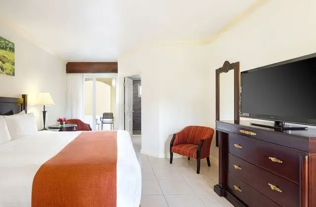 Premier Guest Room