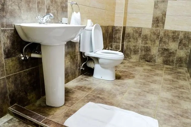 Standard Tek Kişilik Oda, 1 Tek Kişilik Yatak, Engellilere Uygun, Bahçe Manzaralı