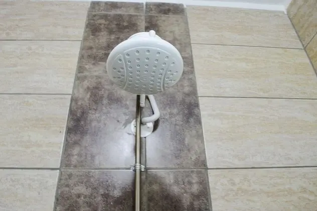 Standard Tek Kişilik Oda, 1 Tek Kişilik Yatak, Engellilere Uygun, Bahçe Manzaralı