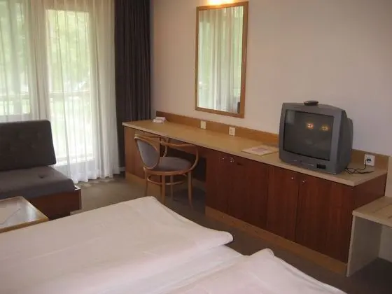 Superior Tek Büyük veya İki Ayrı Yataklı Oda, Balkon