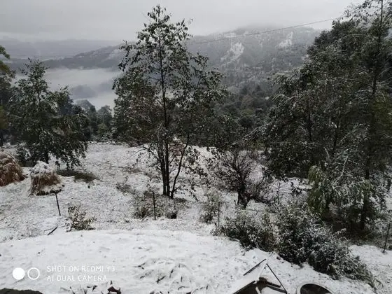Stüdyo, 1 Yatak Odası, Sigara İçilebilir, Balkon