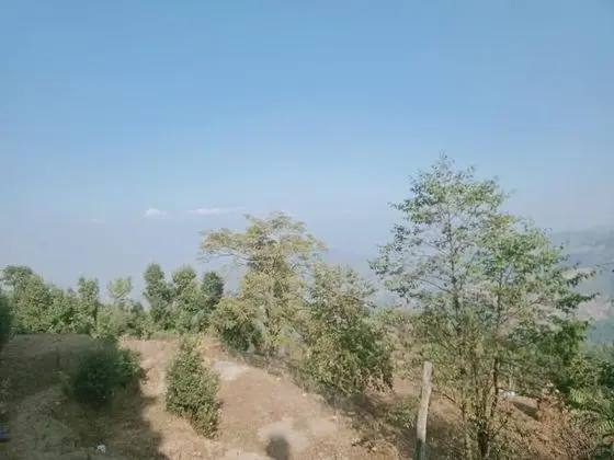 Stüdyo, 1 Yatak Odası, Sigara İçilebilir, Balkon
