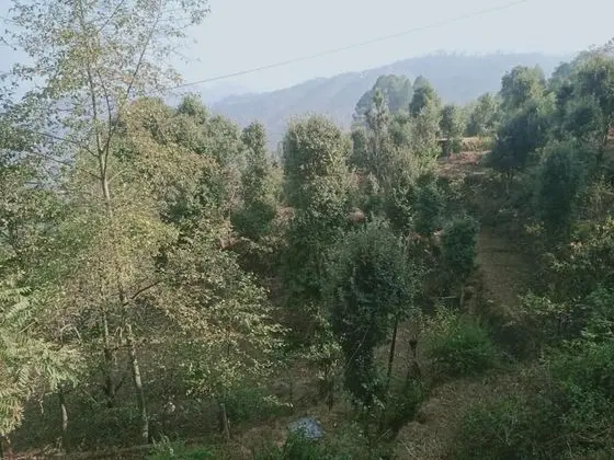 Stüdyo, 1 Yatak Odası, Sigara İçilebilir, Balkon