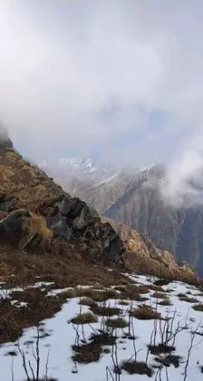 Stüdyo, 1 Yatak Odası, Sigara İçilebilir, Balkon