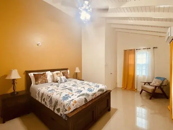 Luxury Villa