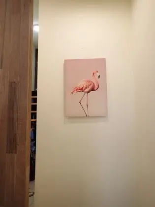 Comfort Stüdyo Süit, Karma Ranzalı Oda, Sigara İçilmez, Mutfak