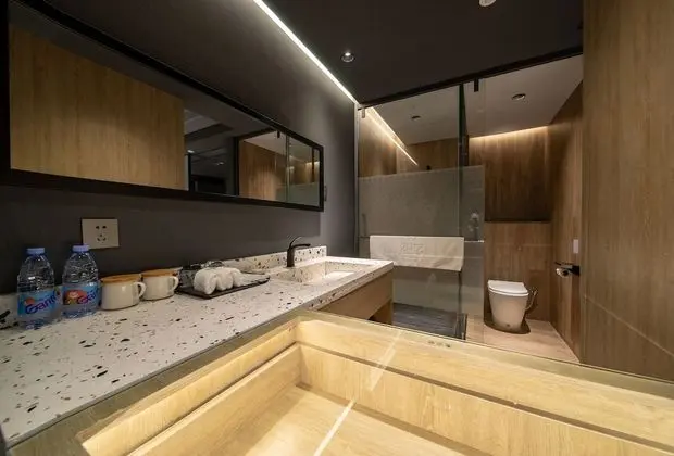 Deluxe Tek Kişilik Oda, 1 En Büyük (King) Boy Yatak, Sigara İçilmez, Şehir Manzaralı