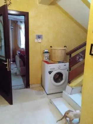Basic Tek Kişilik Oda, 1 Tek Kişilik Yatak