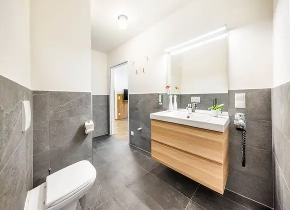 Süit, 1 Yatak Odası (50m2)