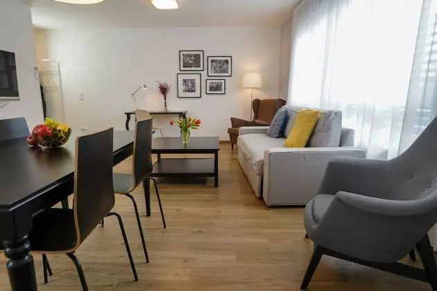 Executive Apart Daire, 1 Yatak Odası