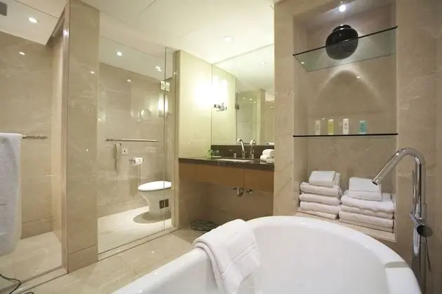 Executive Tek Büyük Yataklı Oda, Şehir Manzaralı (1 pax)