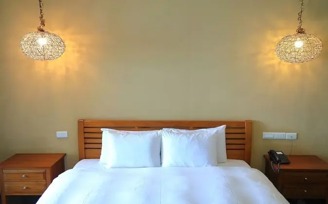 Standard Tek Büyük Yataklı Oda, Okyanus Manzaralı (Room2)