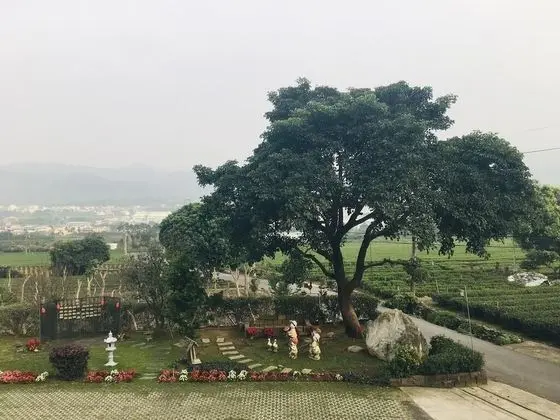 Tek Büyük Yataklı Oda, Bahçe Manzaralı