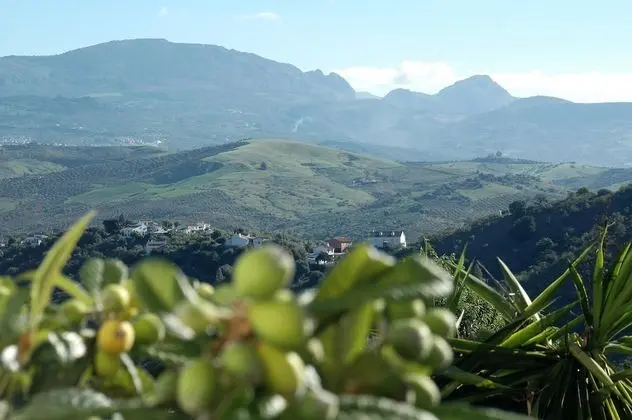 Premier Oda (Vairochana)