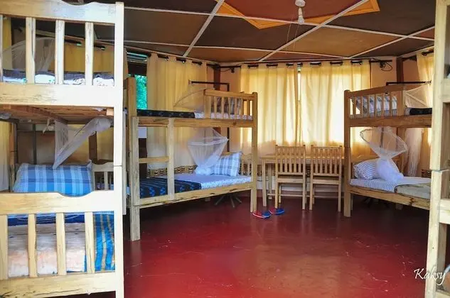 Standard Ortak Ranzalı Oda, Birden Çok Yatak
