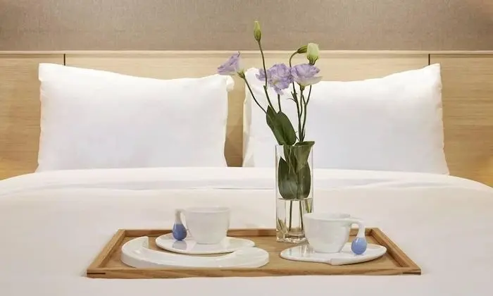 Superior Tek Büyük Yataklı Oda