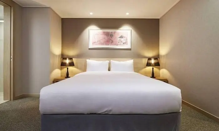 Superior Tek Büyük Yataklı Oda