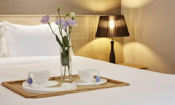 Superior Tek Büyük Yataklı Oda