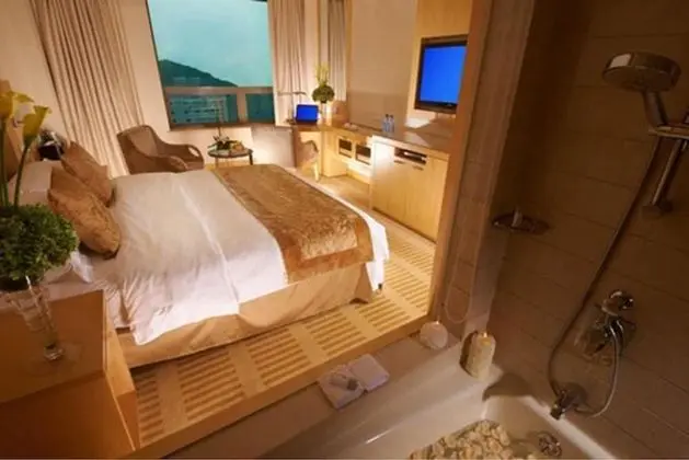 Superior Tek Kişilik Oda, 1 En Büyük (King) Boy Yatak