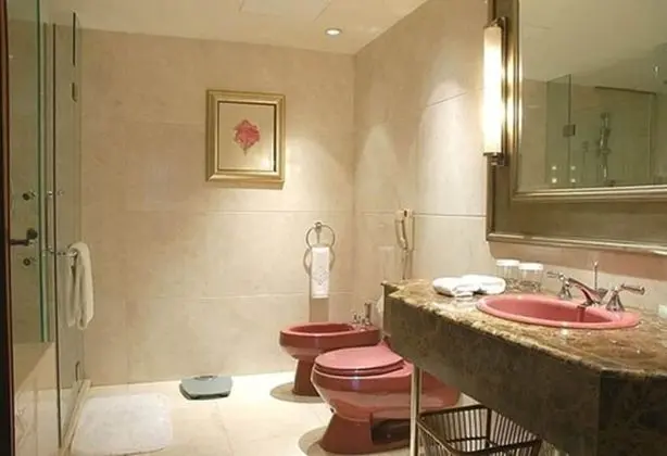 Superior Tek Kişilik Oda, 1 En Büyük (King) Boy Yatak