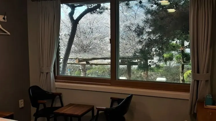 Basic Tek Büyük Yataklı Oda